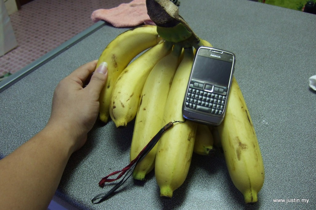 Biggest banana I’ve ever ate